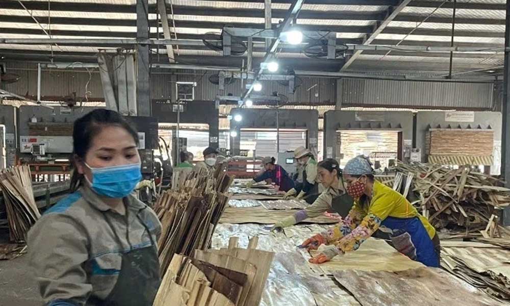 Wood industry proactively reduces impact from tariff policy